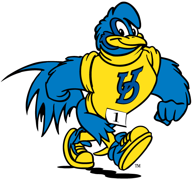 Delaware Blue Hens 1999-Pres Mascot Logo 13 iron on paper